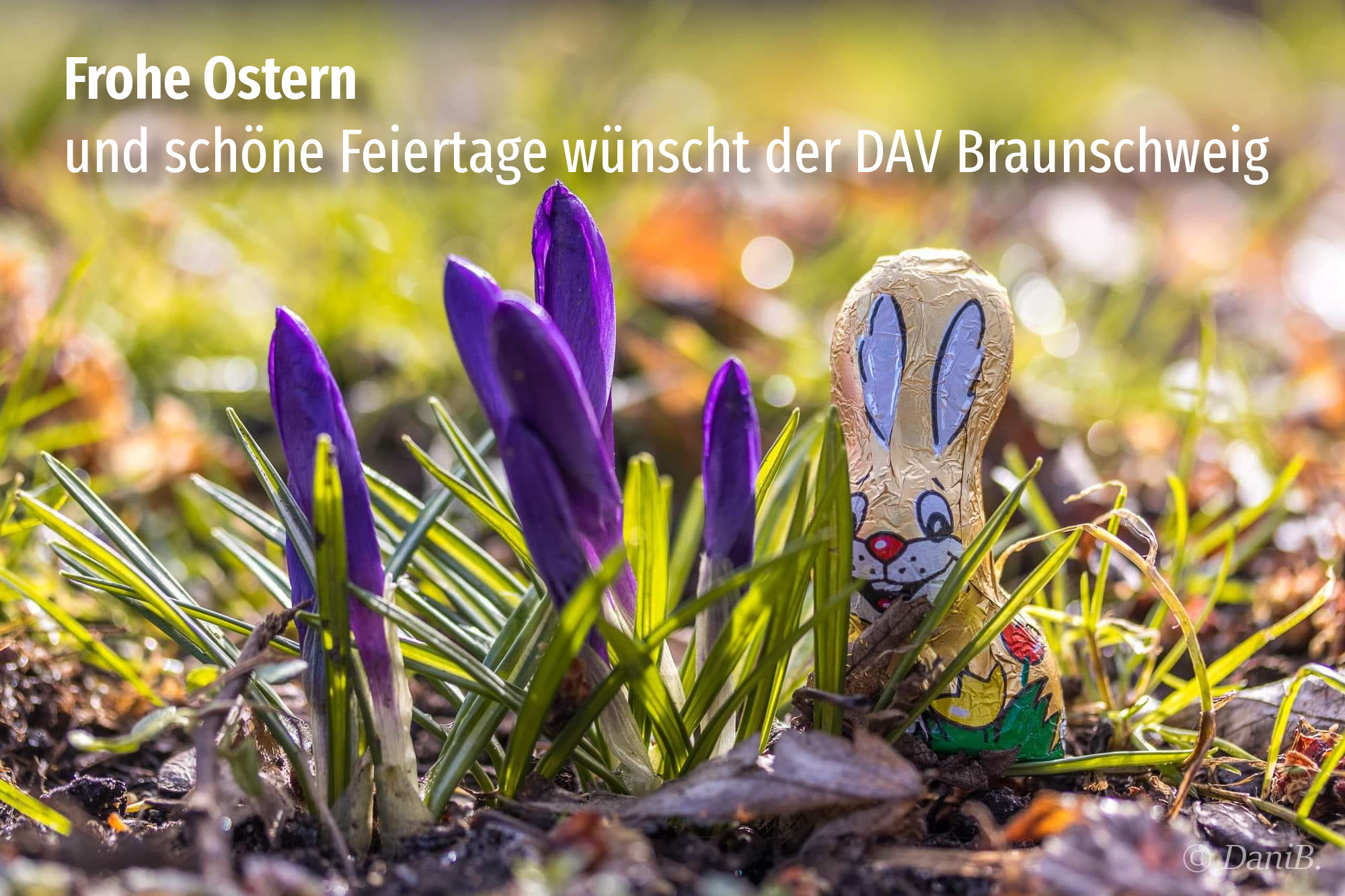 Frohe Ostern und schöne Feiertage wünscht der DAV Braunschweig.