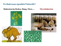 Vortrag